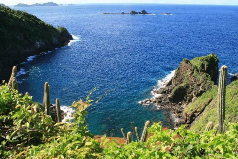 Little Tobago Island (Bird of Paradise Island), Off Northeast Tobago, Trinidad and Tobago